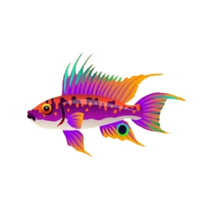 Splash Apisto